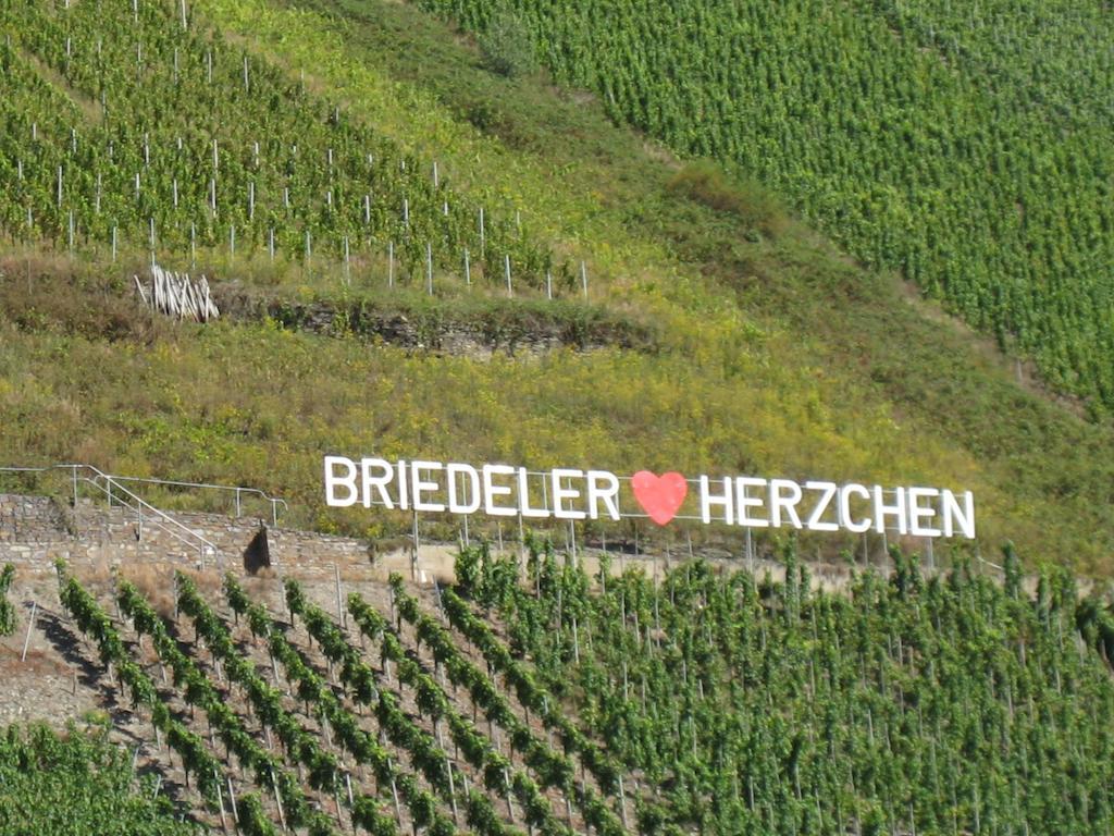 Weingut Goeres Hotel Briedel Ruang foto
